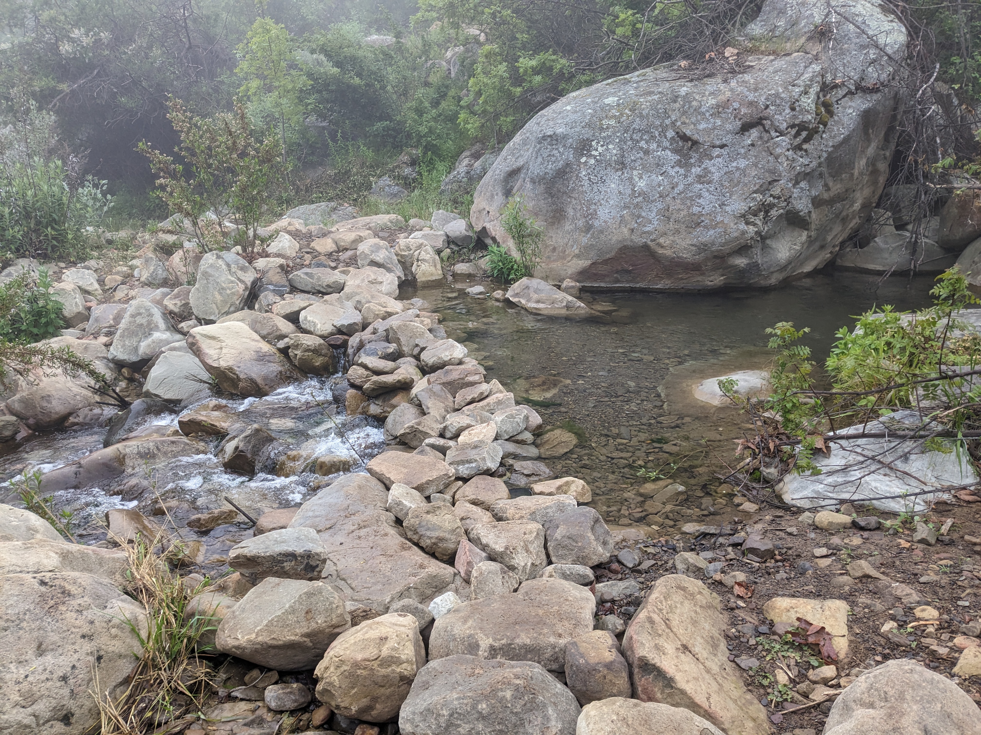 Stream in the Ojai hills